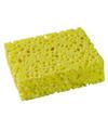 sponge large smooth2