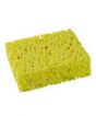 sponge large
